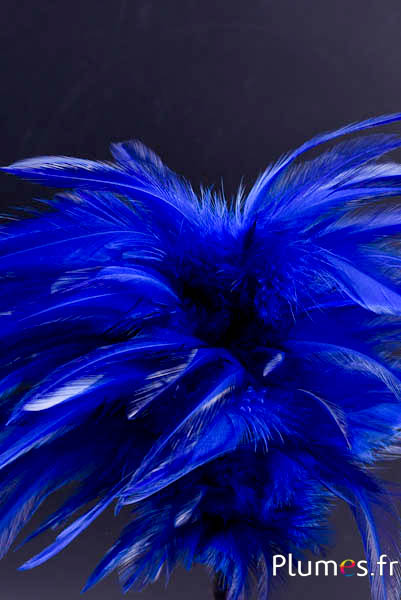 Plumet coq avec anneau -  hauteur 20 cm - bleu